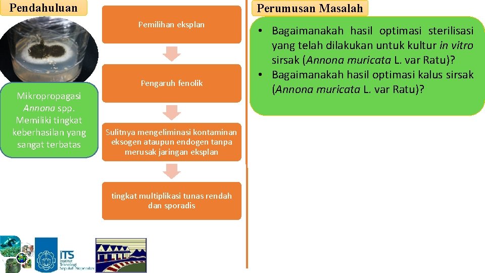 Pendahuluan Perumusan Masalah Pemilihan eksplan Pengaruh fenolik Mikropropagasi Annona spp. Memiliki tingkat keberhasilan yang