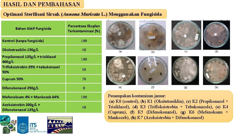 HASIL DAN PEMBAHASAN Optimasi Sterilisasi Sirsak (Annona Muricata L. ) Menggunakan Fungisida Bahan Aktif