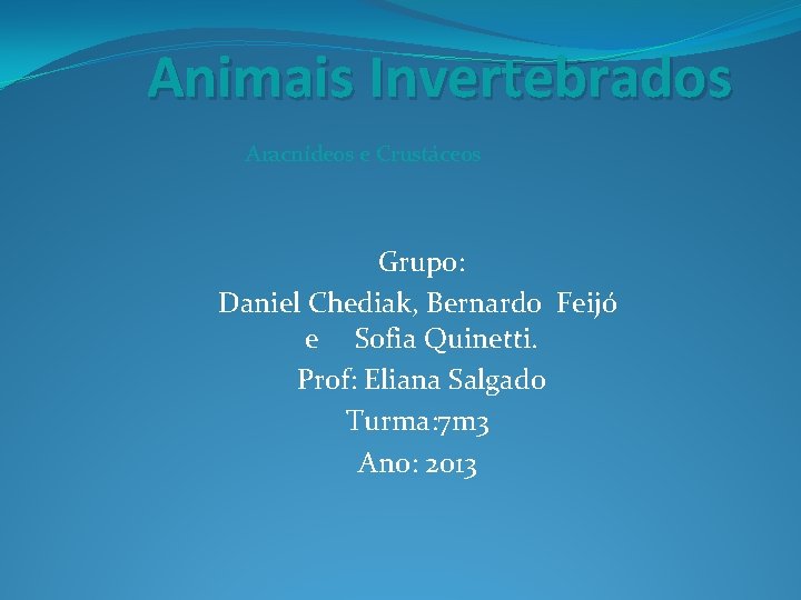 Animais Invertebrados Aracnídeos e Crustáceos Grupo: Daniel Chediak, Bernardo Feijó e Sofia Quinetti. Prof: