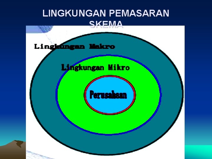 LINGKUNGAN PEMASARAN SKEMA 