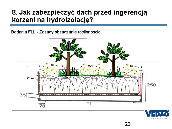 8. Jak zabezpieczyć dach przed ingerencją korzeni na hydroizolację? Badania FLL - Zasady obsadzania