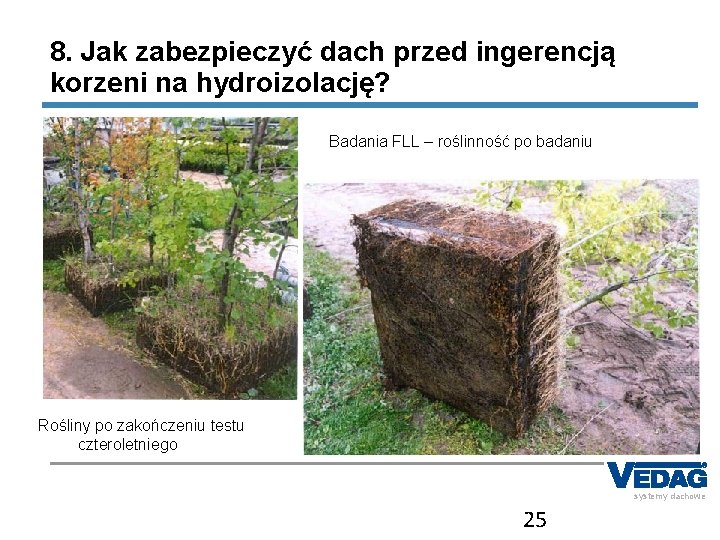 8. Jak zabezpieczyć dach przed ingerencją korzeni na hydroizolację? Badania FLL – roślinność po