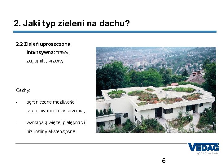 2. Jaki typ zieleni na dachu? 2. 2 Zieleń uproszczona intensywna: trawy, zagajniki, krzewy