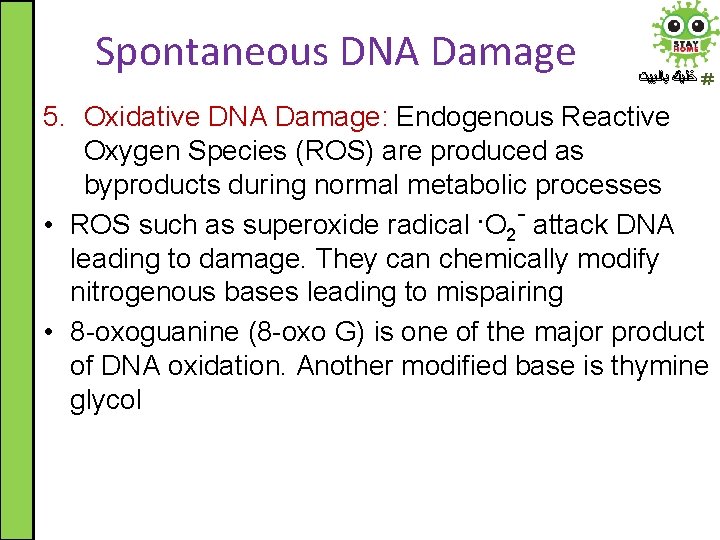 Spontaneous DNA Damage ﺧﻠﻴﻚ ﺑﺎﻟﺒﻴﺖ 5. Oxidative DNA Damage: Endogenous Reactive Oxygen Species (ROS)