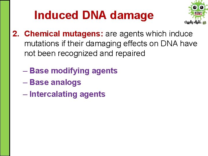 Induced DNA damage ﺧﻠﻴﻚ ﺑﺎﻟﺒﻴﺖ 2. Chemical mutagens: are agents which induce mutations if