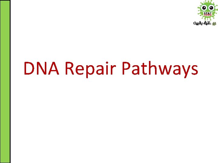  ﺧﻠﻴﻚ ﺑﺎﻟﺒﻴﺖ DNA Repair Pathways 