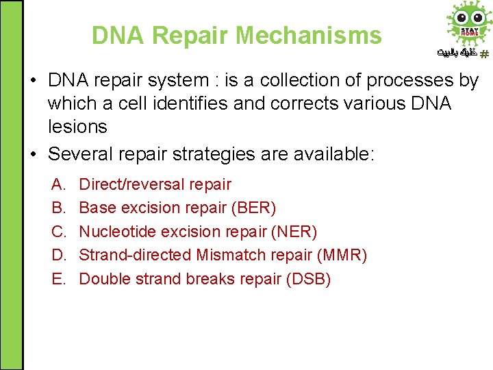 DNA Repair Mechanisms ﺧﻠﻴﻚ ﺑﺎﻟﺒﻴﺖ • DNA repair system : is a collection of