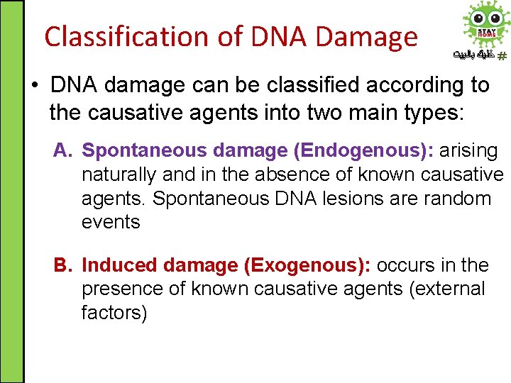 Classification of DNA Damage ﺧﻠﻴﻚ ﺑﺎﻟﺒﻴﺖ • DNA damage can be classified according to