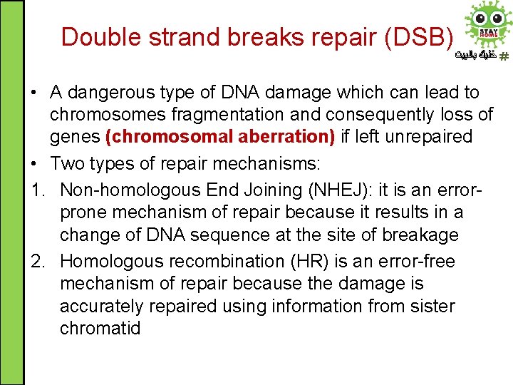 Double strand breaks repair (DSB) ﺧﻠﻴﻚ ﺑﺎﻟﺒﻴﺖ • A dangerous type of DNA damage