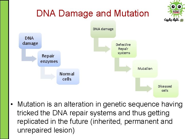 DNA Damage and Mutation ﺧﻠﻴﻚ ﺑﺎﻟﺒﻴﺖ DNA damage Defective Repair systems Repair enzymes Normal