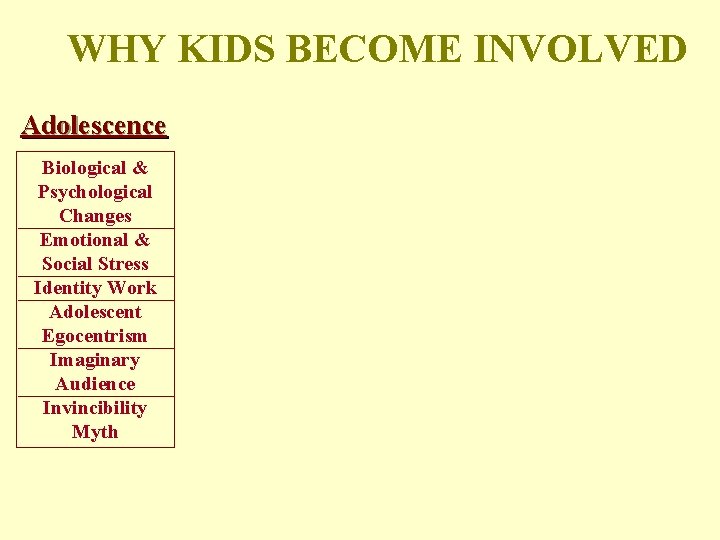 WHY KIDS BECOME INVOLVED Adolescence Biological & Psychological Changes Emotional & Social Stress Identity