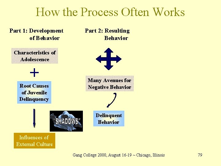 How the Process Often Works Part 1: Development of Behavior Part 2: Resulting Behavior