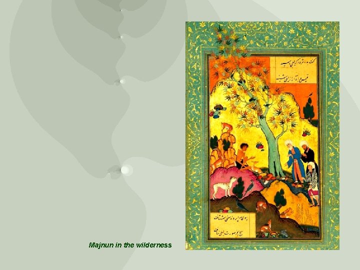 Majnun in the wilderness 