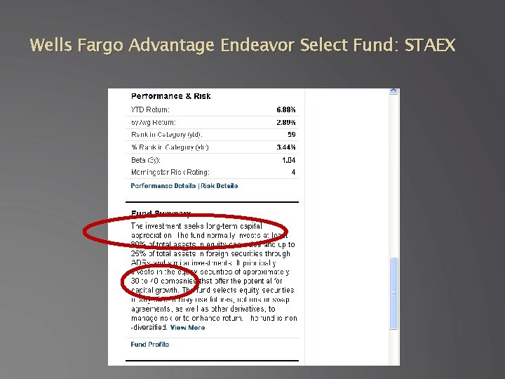 Wells Fargo Advantage Endeavor Select Fund: STAEX 