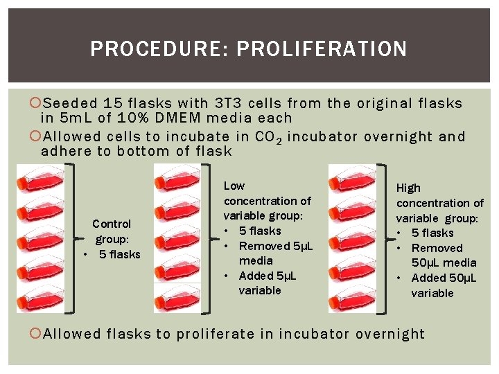PROCEDURE: PROLIFERATION Seeded 15 flasks with 3 T 3 cells from the original flasks