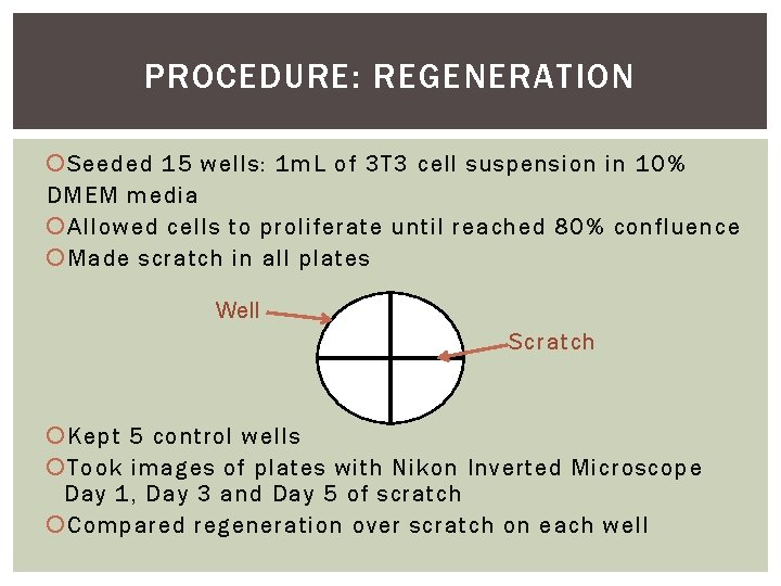 PROCEDURE: REGENERATION Seeded 15 wells: 1 m. L of 3 T 3 cell suspension