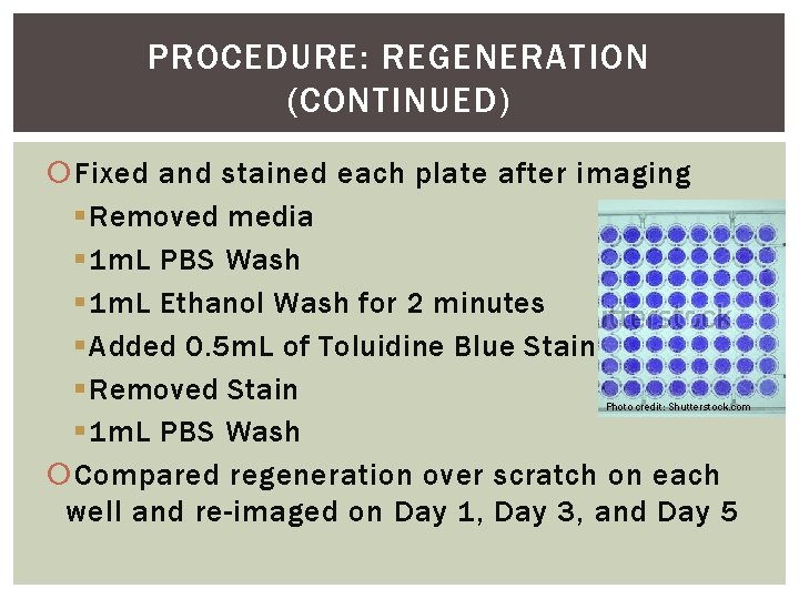 PROCEDURE: REGENERATION (CONTINUED) Fixed and stained each plate after imaging § Removed media §