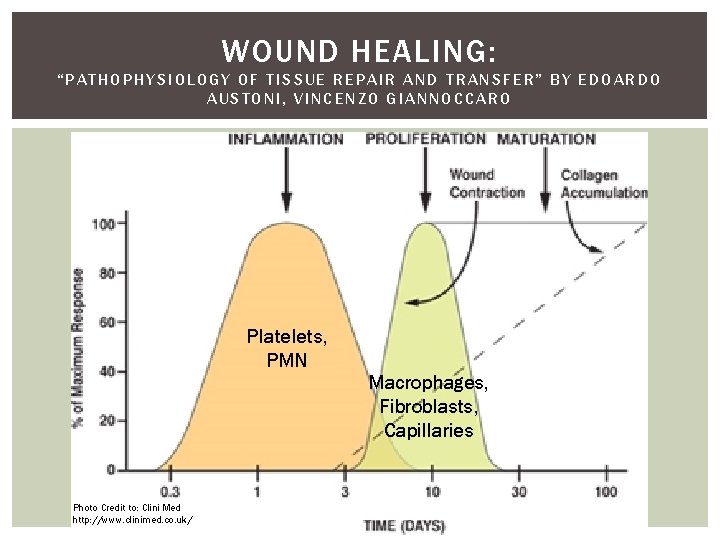 WOUND HEALING: “PATHOPHYSIOLOGY OF TISSUE REPAIR AND TRANSFER” BY EDOARDO AUSTONI, VINCENZO GIANNOCCARO Platelets,