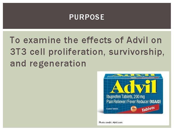 PURPOSE To examine the effects of Advil on 3 T 3 cell proliferation, survivorship,