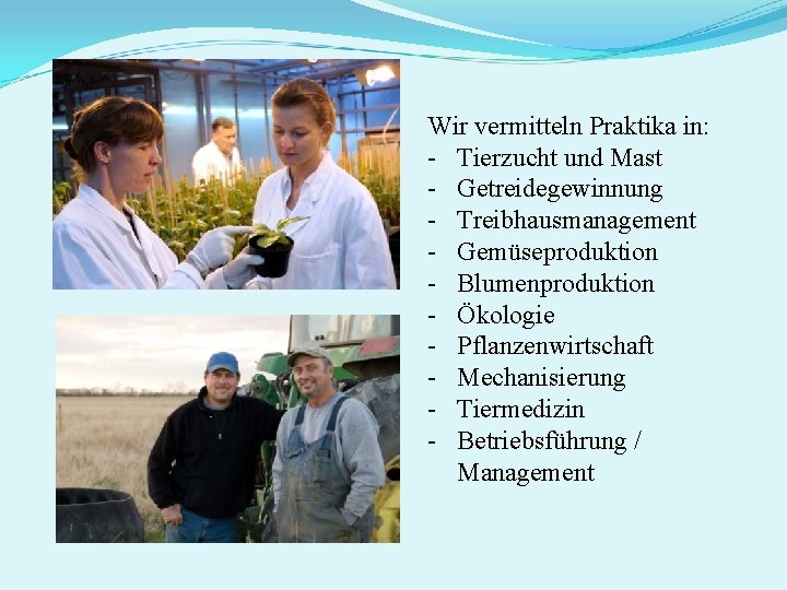 Wir vermitteln Praktika in: - Tierzucht und Mast - Getreidegewinnung - Treibhausmanagement - Gemüseproduktion