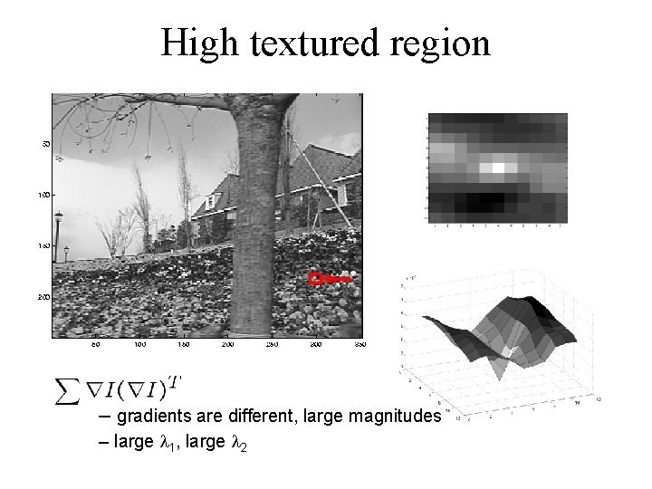 High textured region – gradients are different, large magnitudes – large l 1, large