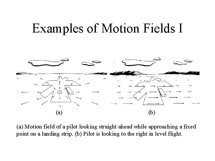 Examples of Motion Fields I (a) (b) (a) Motion field of a pilot looking