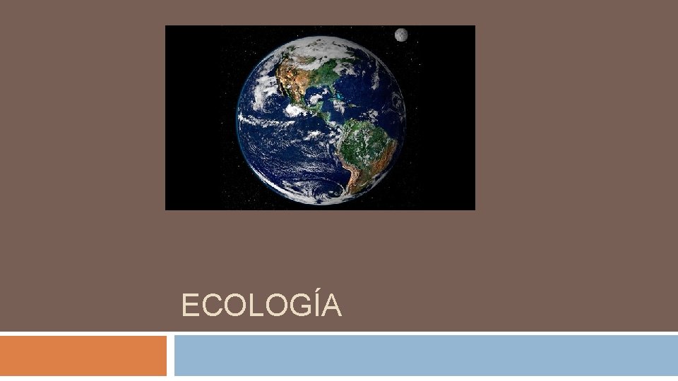 ECOLOGÍA 