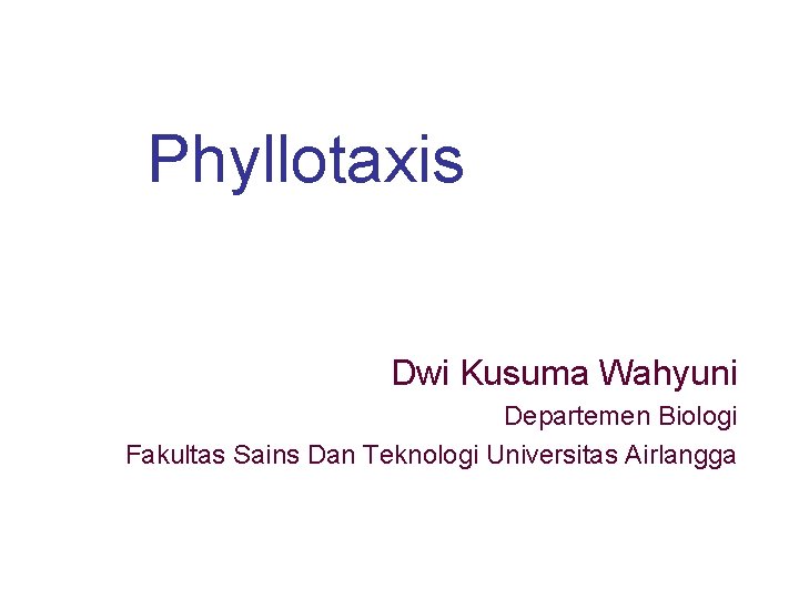 Phyllotaxis Dwi Kusuma Wahyuni Departemen Biologi Fakultas Sains Dan Teknologi Universitas Airlangga 