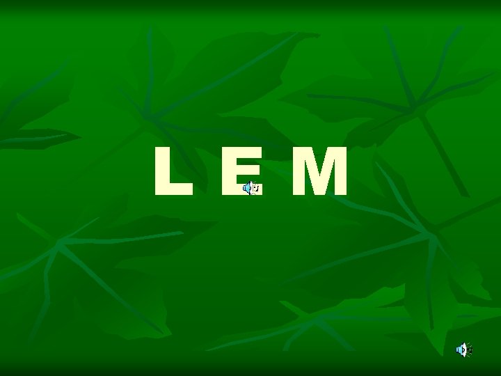 LEM 