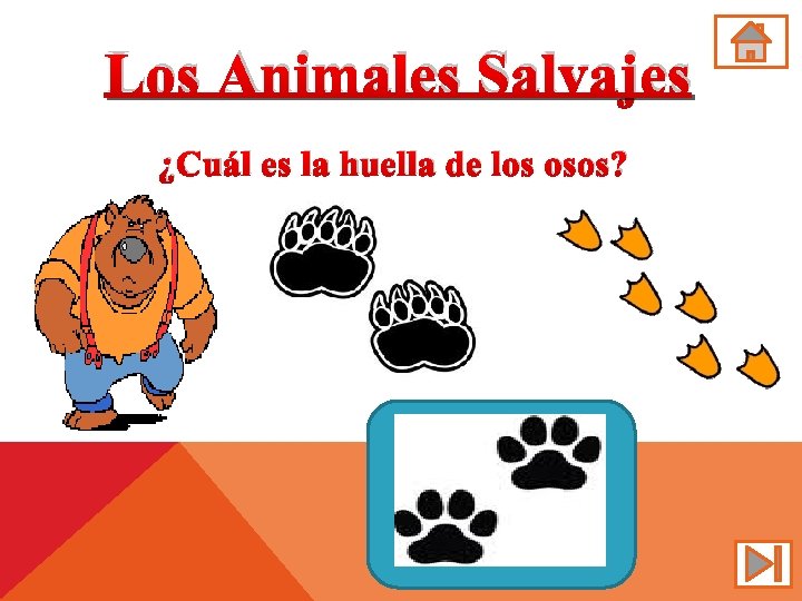 Los Animales Salvajes ¿Cuál es la huella de los osos? 