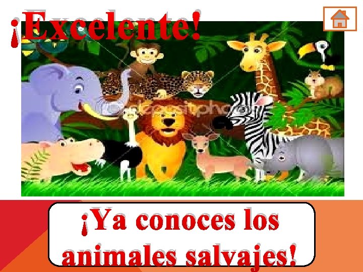 ¡Excelente! ¡Ya conoces los animales salvajes! 