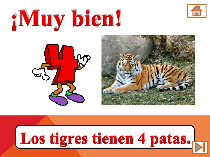 ¡Muy bien! Los tigres tienen 4 patas. 