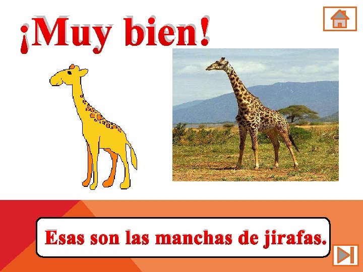 ¡Muy bien! Esas son las manchas de jirafas. 