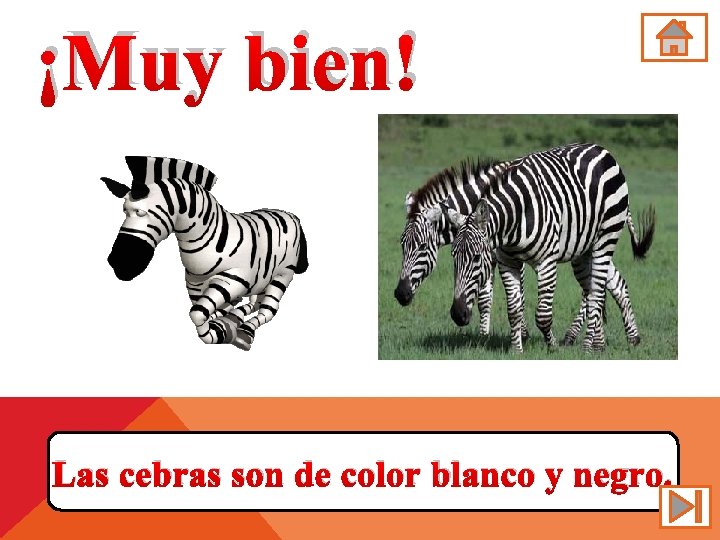 ¡Muy bien! Las cebras son de color blanco y negro. 