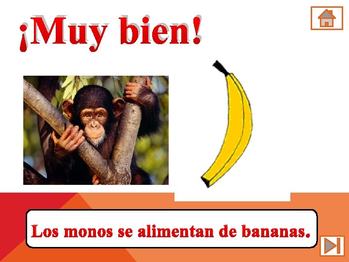 ¡Muy bien! Los monos se alimentan de bananas. 