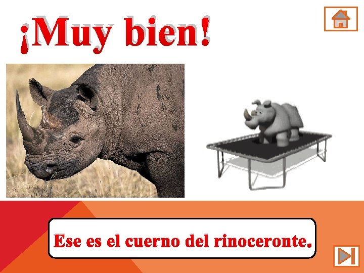 ¡Muy bien! Ese es el cuerno del rinoceronte. 