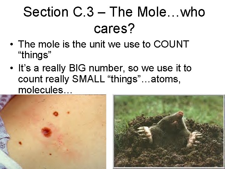 Section C. 3 – The Mole…who cares? • The mole is the unit we Section C. 3 – The Mole…who cares? • The mole is the unit we