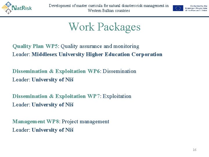 Development of master curricula for natural disasters risk management in Western Balkan countries Work