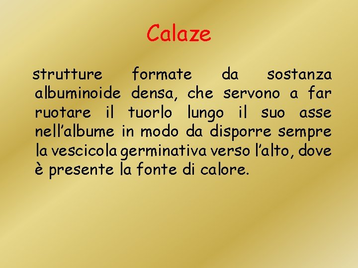 Calaze strutture formate da sostanza albuminoide densa, che servono a far ruotare il tuorlo