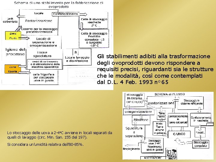 Gli stabilimenti adibiti alla trasformazione degli ovoprodotti devono rispondere a requisiti precisi, riguardanti sia