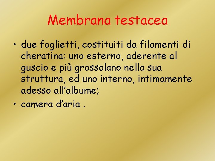 Membrana testacea • due foglietti, costituiti da filamenti di cheratina: uno esterno, aderente al