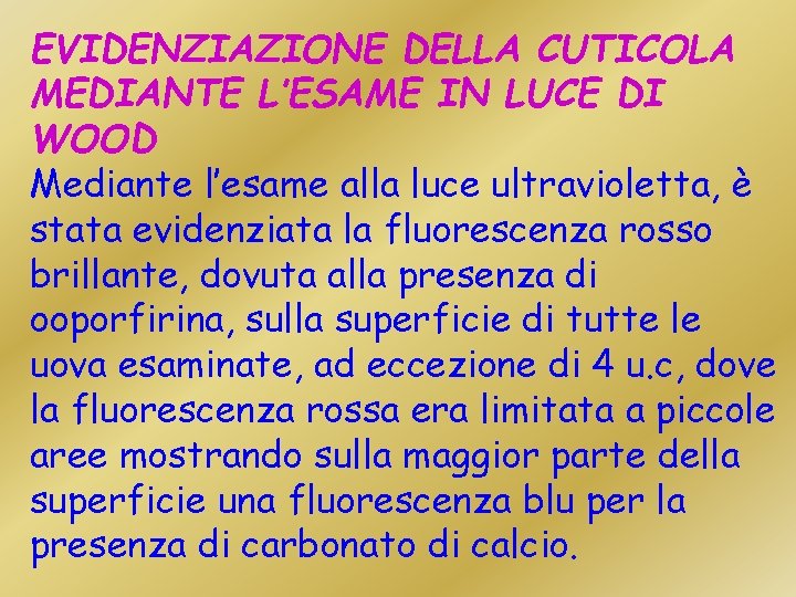 EVIDENZIAZIONE DELLA CUTICOLA MEDIANTE L’ESAME IN LUCE DI WOOD Mediante l’esame alla luce ultravioletta,