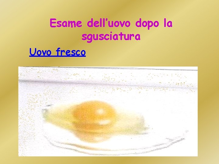 Esame dell’uovo dopo la sgusciatura Uovo fresco 