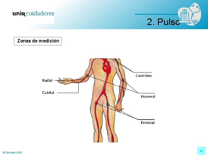 2. Pulso Zonas de medición 30 October 2020 11 2. Pulso Zonas de medición 30 October 2020 11