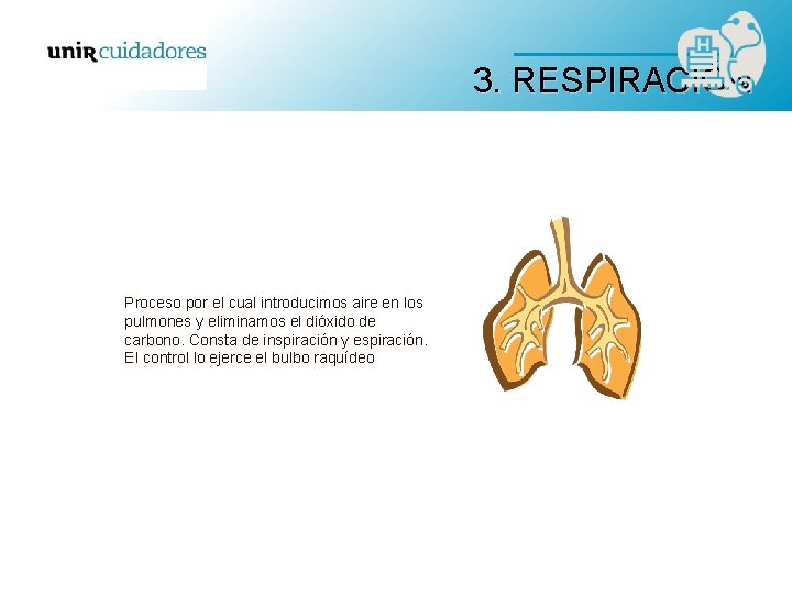 3. RESPIRACIÓN Proceso por el cual introducimos aire en los pulmones y eliminamos el