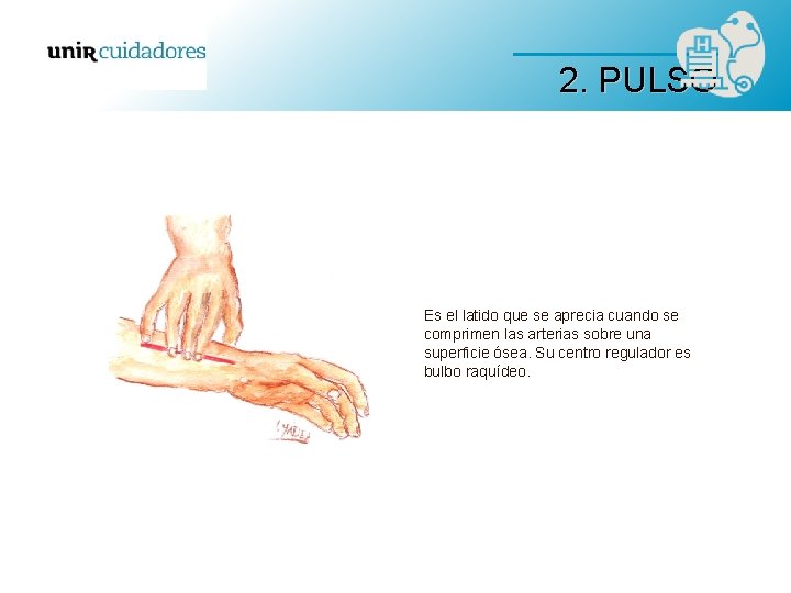 2. PULSO Es el latido que se aprecia cuando se comprimen las arterias sobre