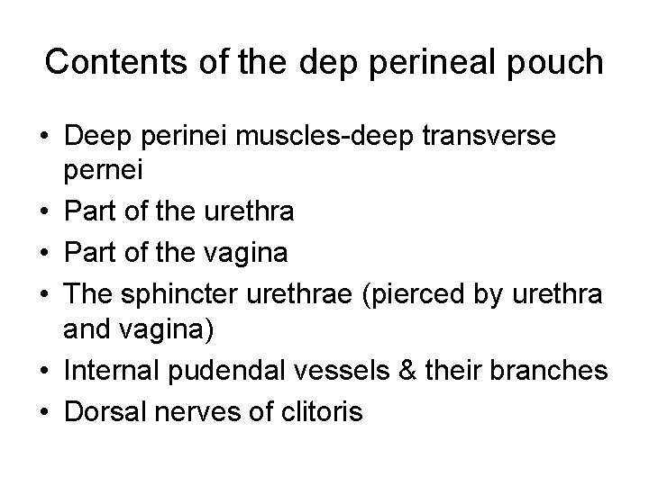 Contents of the dep perineal pouch • Deep perinei muscles-deep transverse pernei • Part Contents of the dep perineal pouch • Deep perinei muscles-deep transverse pernei • Part
