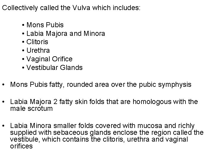 Collectively called the Vulva which includes: • Mons Pubis • Labia Majora and Minora Collectively called the Vulva which includes: • Mons Pubis • Labia Majora and Minora