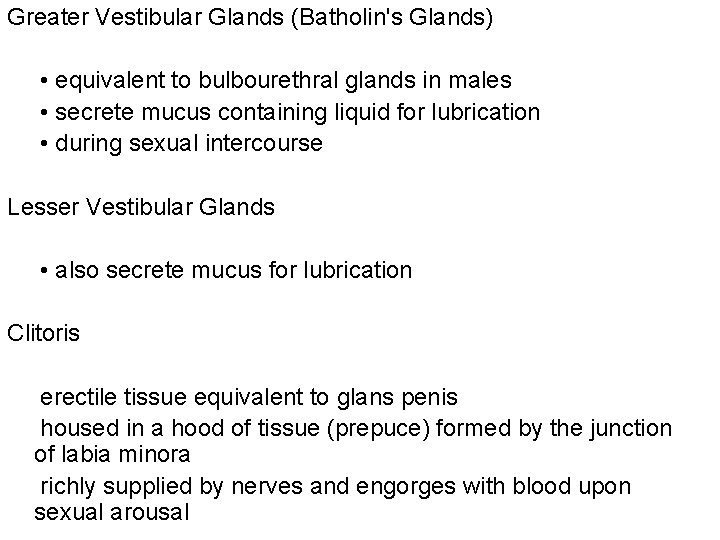 Greater Vestibular Glands (Batholin's Glands) • equivalent to bulbourethral glands in males • secrete Greater Vestibular Glands (Batholin's Glands) • equivalent to bulbourethral glands in males • secrete