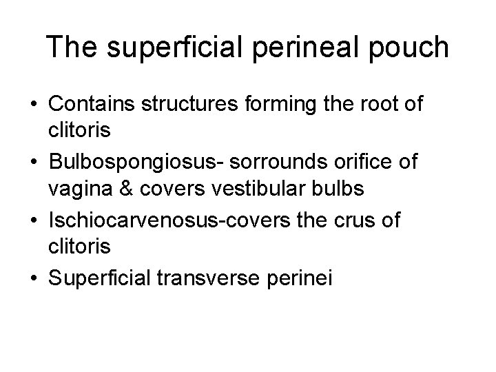 The superficial perineal pouch • Contains structures forming the root of clitoris • Bulbospongiosus- The superficial perineal pouch • Contains structures forming the root of clitoris • Bulbospongiosus-